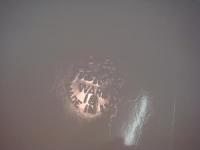 f1771　ウィート　オーバルプラッター　　W30.4cm