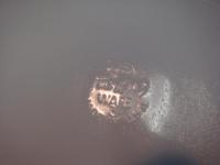 f1772　ブルーモザイク　オーバルプラッター　　W30.4cm